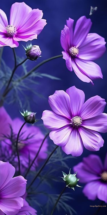 700+ Cute Flower Wallpaper Free Download | Beautiful Flowers Wallpapers for Mobile | 190 flower wallpaper mobile -(28)