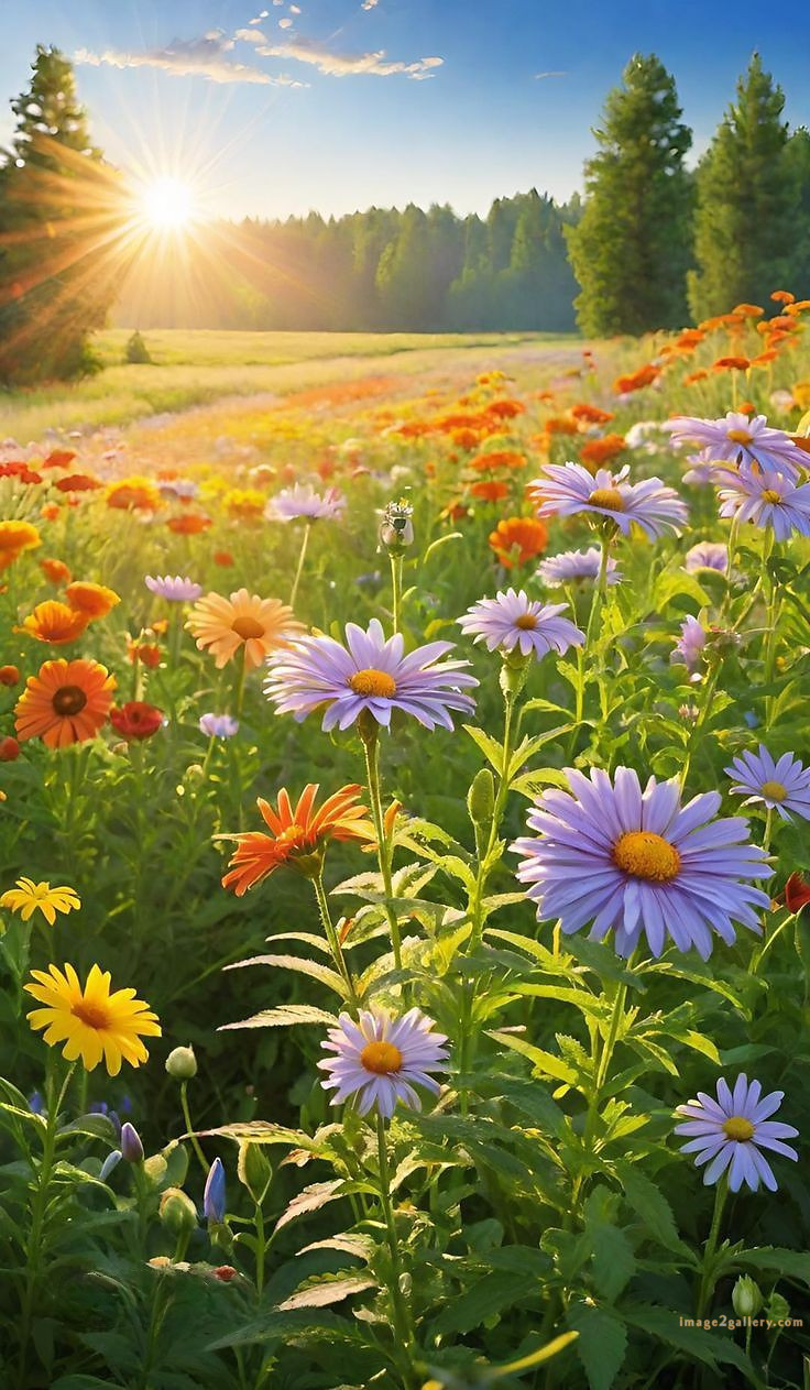 700+ Cute Flower Wallpaper Free Download | Beautiful Flowers Wallpapers for Mobile | 195 flower wallpaper mobile -(34)