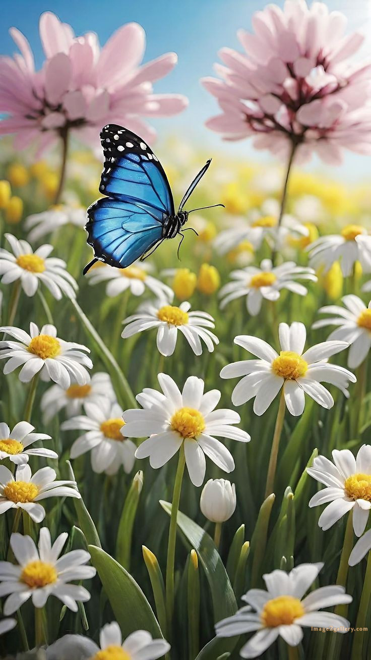 700+ Cute Flower Wallpaper Free Download | Beautiful Flowers Wallpapers for Mobile | 235 flower wallpaper mobile -(38)