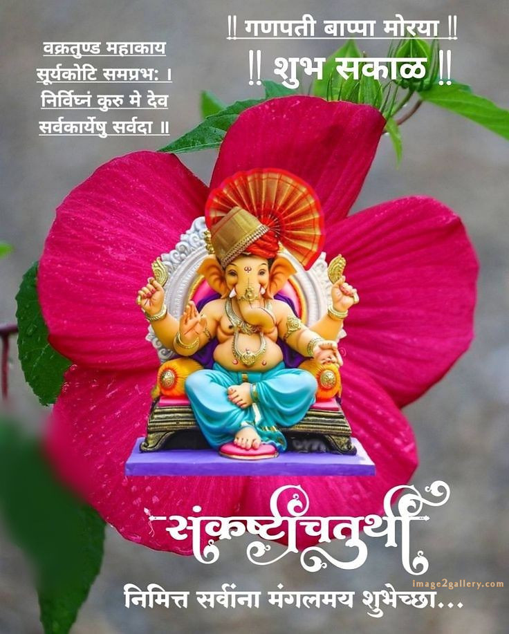 Happy Ganesh Chaturthi Wishes Quotes in Hindi: рдЦреВрдмрд╕реВрд░рдд рд╕рдВрджреЗрд╢ рднрдЧрд╡рд╛рди рд╡рд┐рдирд╛рдпрдХ рдЪрддреБрд░реНрдереА рд╢реБрднрдХрд╛рдордирд╛рдПрдВред 366 ganesh chaturthi hd images -(7)