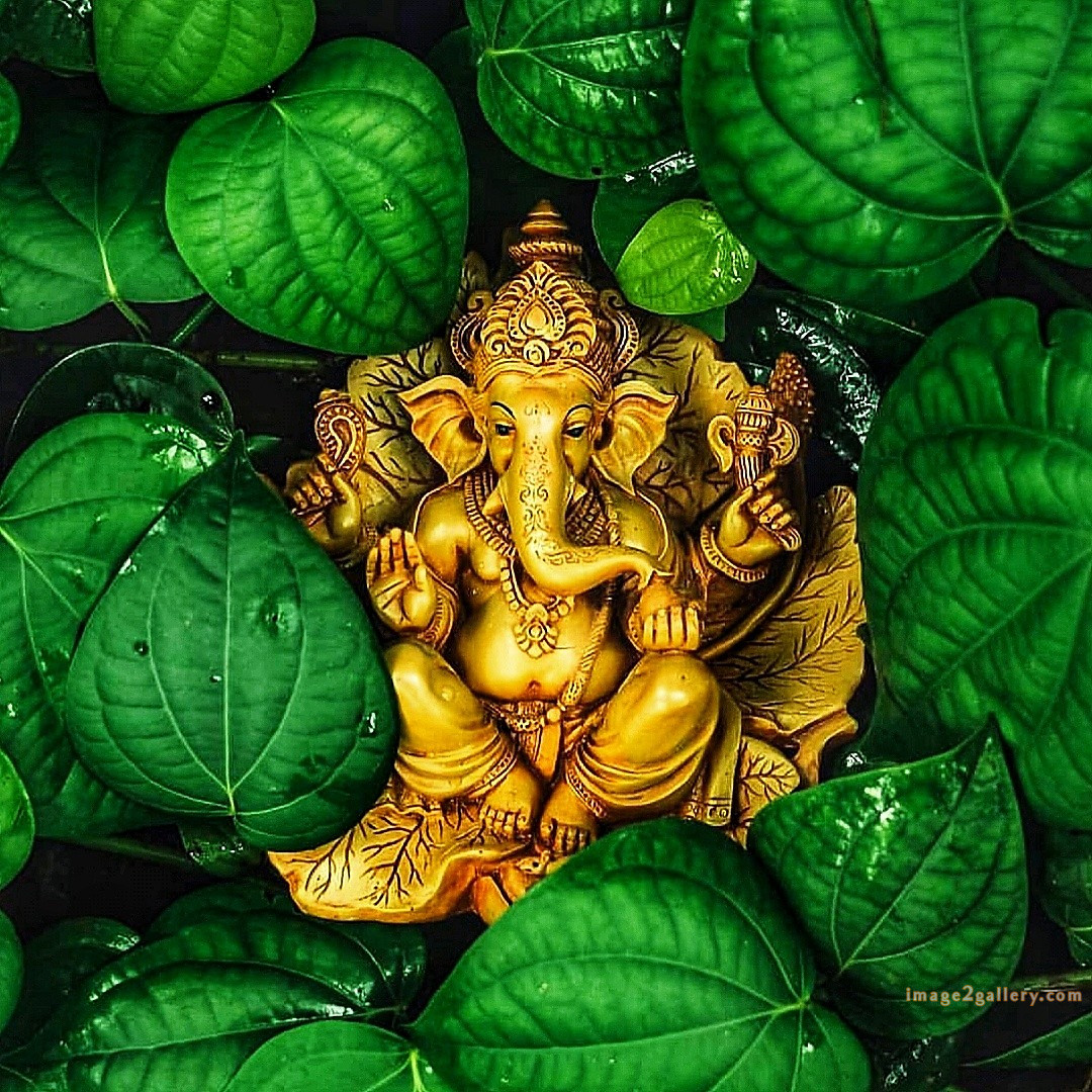 1200+ Lord Ganesh Images Free Download | श्री गणेश भगवान की फोटो। 683 god ganapathi images hd -(26)
