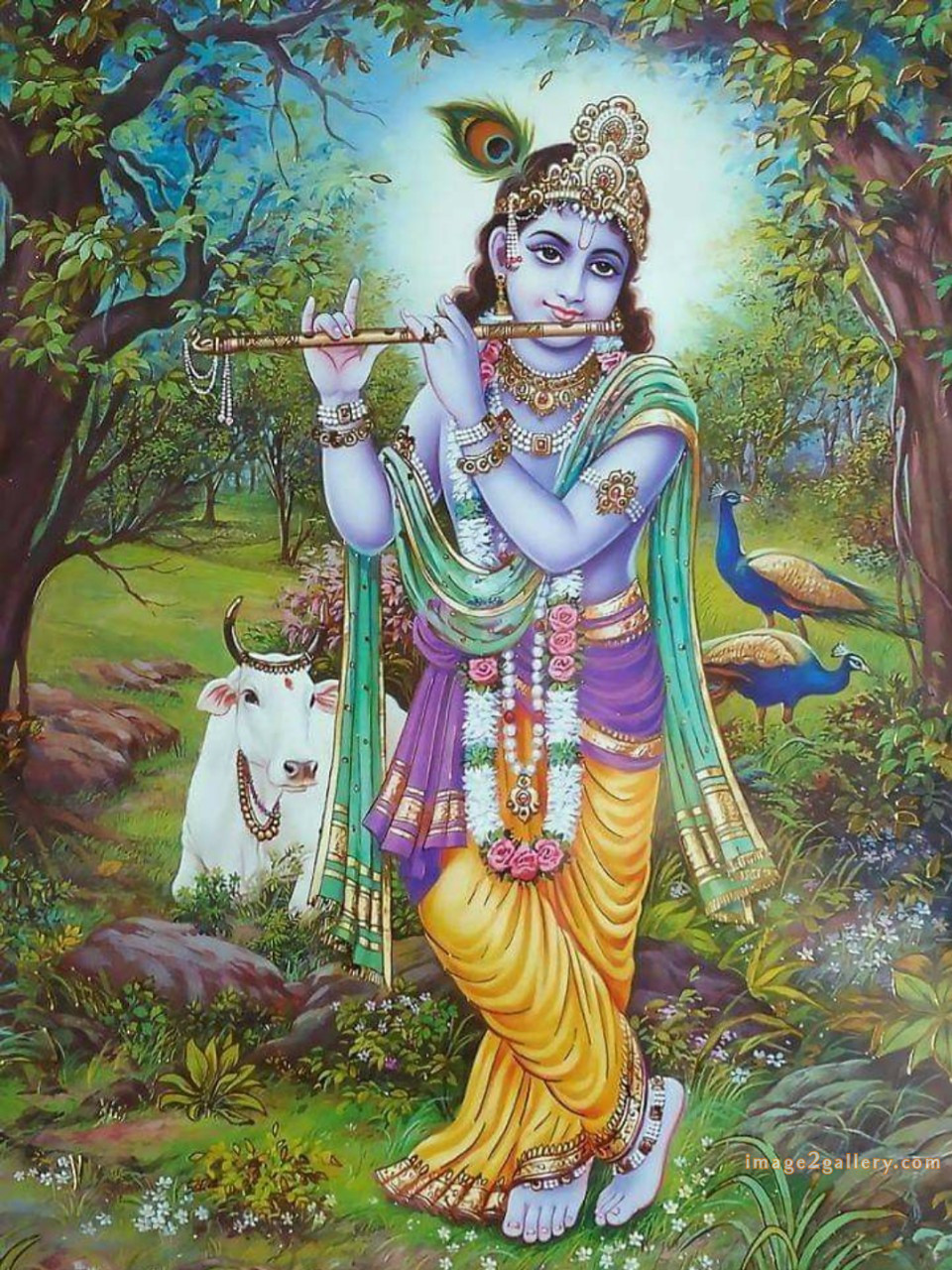 1200+ Krishna Images hd - Krishna Radha Photo : 51 god krishna images (18)