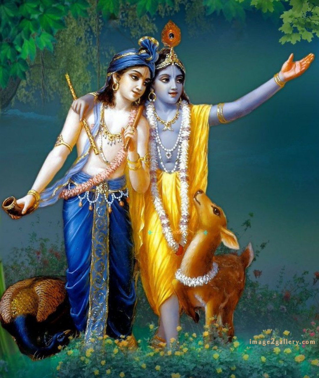 1200+ Krishna Images hd - Krishna Radha Photo : 52 god krishna images (21)