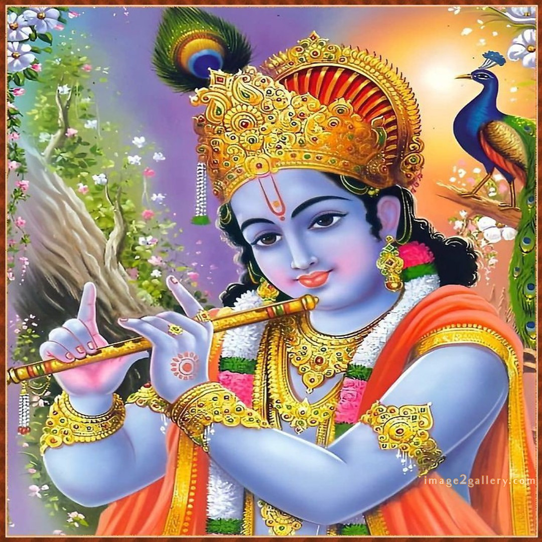 1200+ Krishna Images hd - Krishna Radha Photo : 15 god krishna images (24)