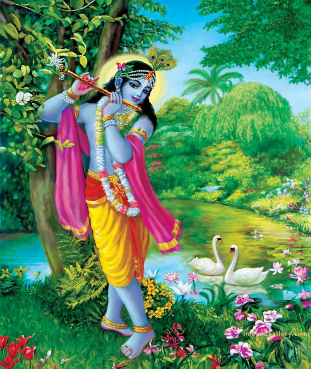 1200+ Krishna Images hd - Krishna Radha Photo : 119 god krishna images hd (18)