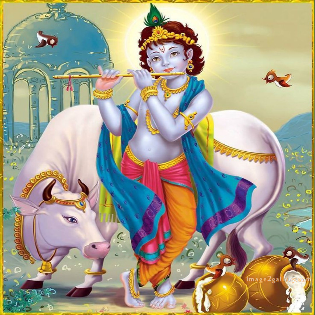1200+ Krishna Images hd - Krishna Radha Photo : 133 god krishna images hd (21)