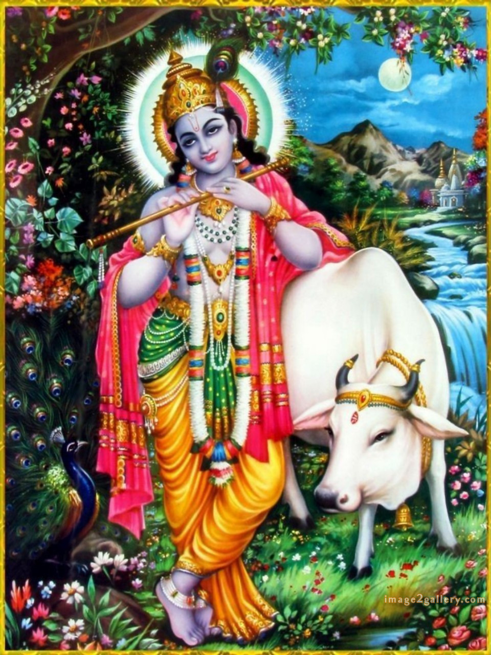 1200+ Krishna Images hd - Krishna Radha Photo : 117 god krishna images hd (9)
