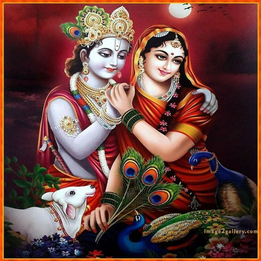 1200+ Krishna Images hd - Krishna Radha Photo : 178 god krishna images hd wallpapers (22)