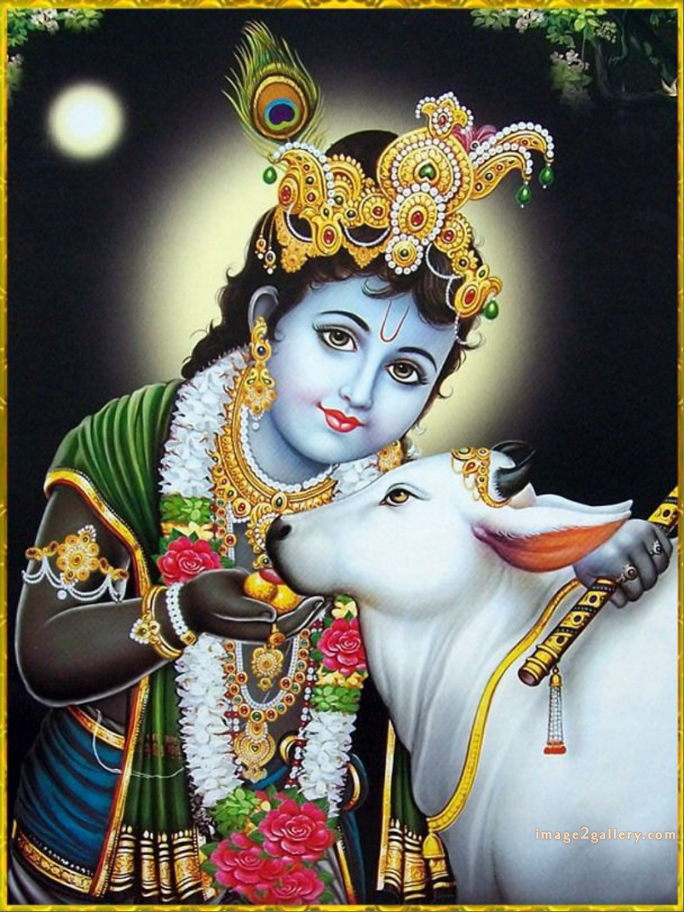1200+ Krishna Images hd - Krishna Radha Photo : 157 god krishna images hd wallpapers (3)
