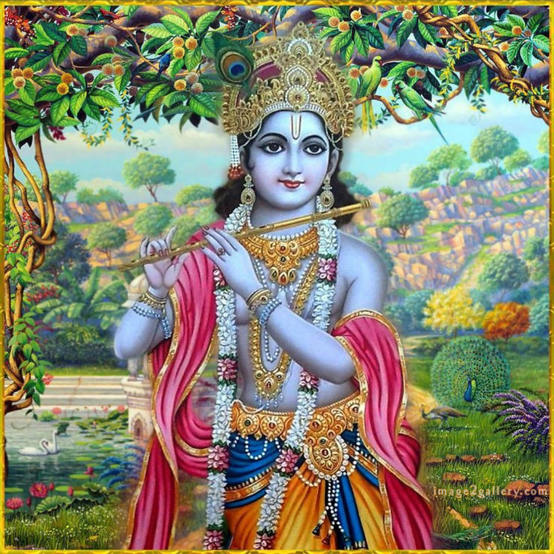 1200+ Krishna Images hd - Krishna Radha Photo : 162 god krishna images hd wallpapers (6)