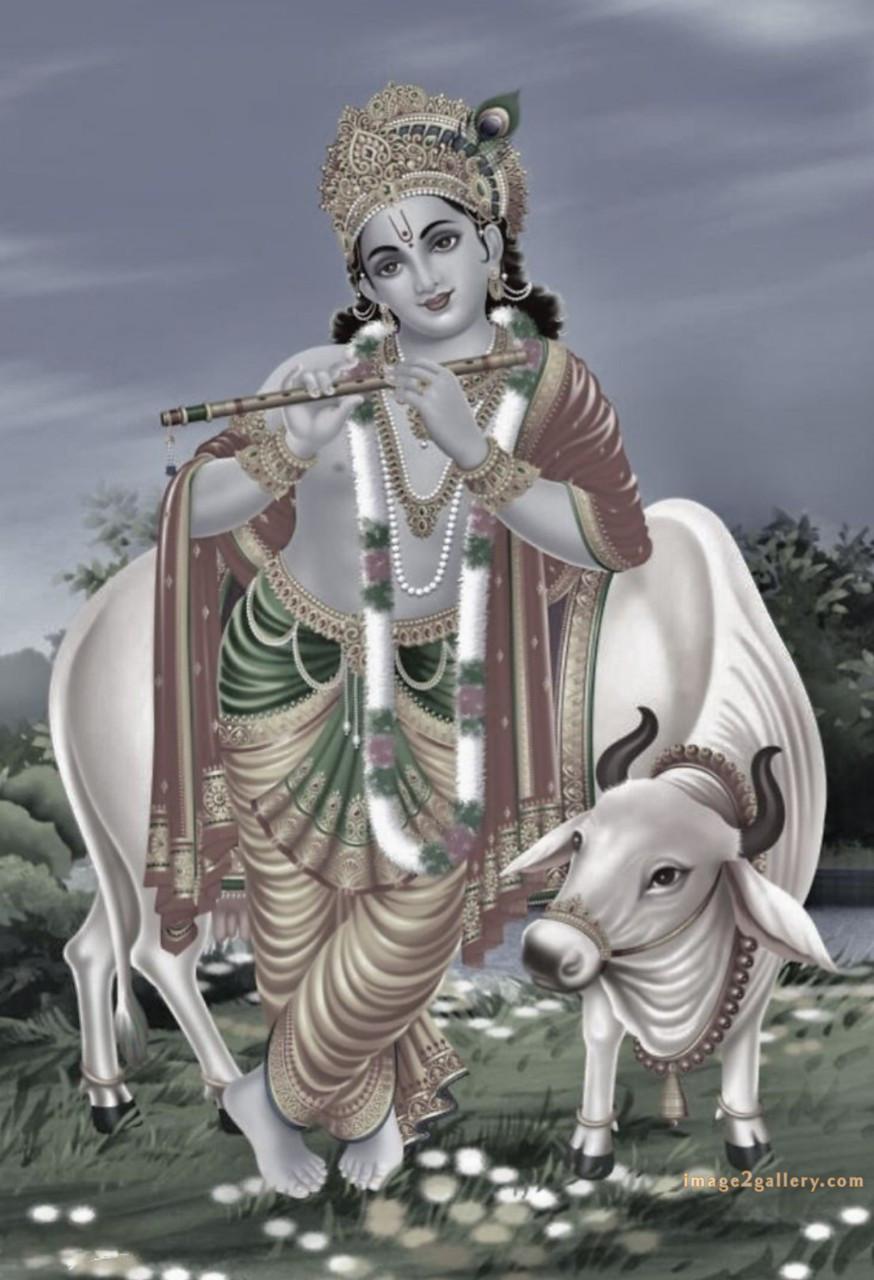 1200+ Krishna Images hd - Krishna Radha Photo : 196 god krishna pic hd (17)
