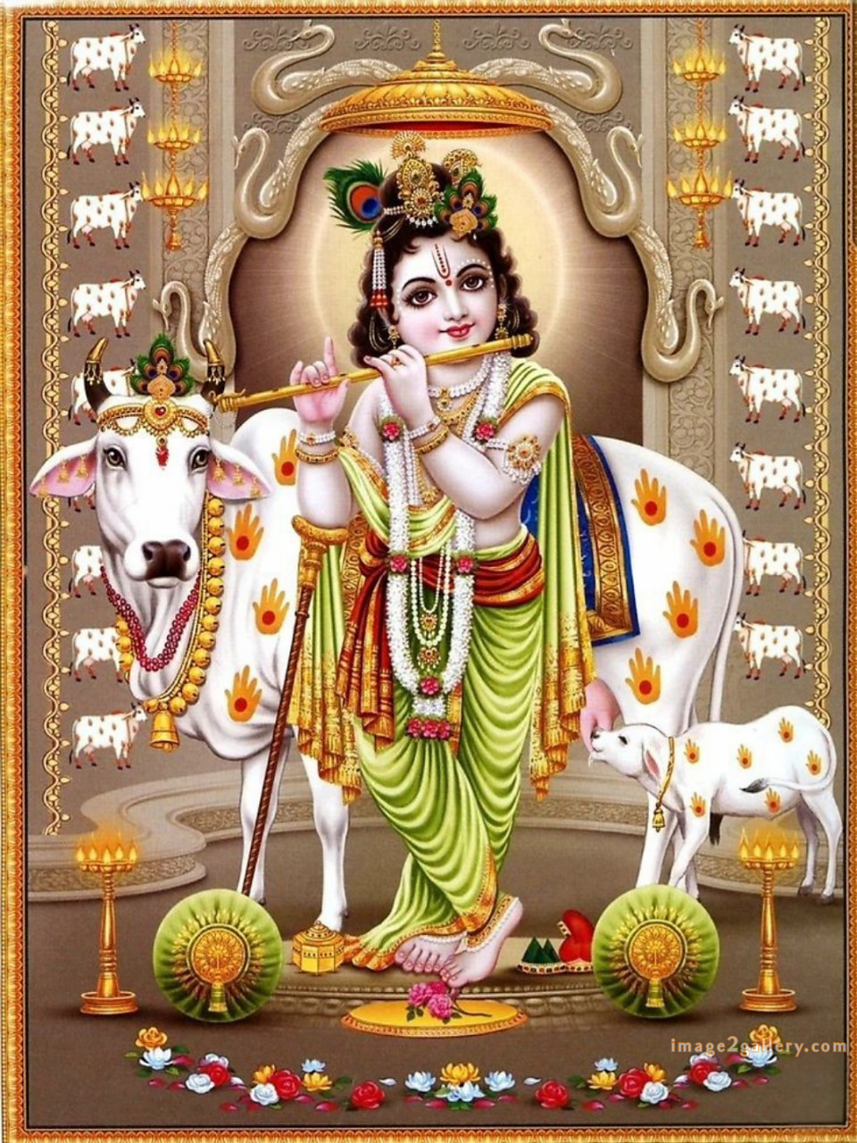 1200+ Krishna Images hd - Krishna Radha Photo : 187 god krishna pic hd (5)