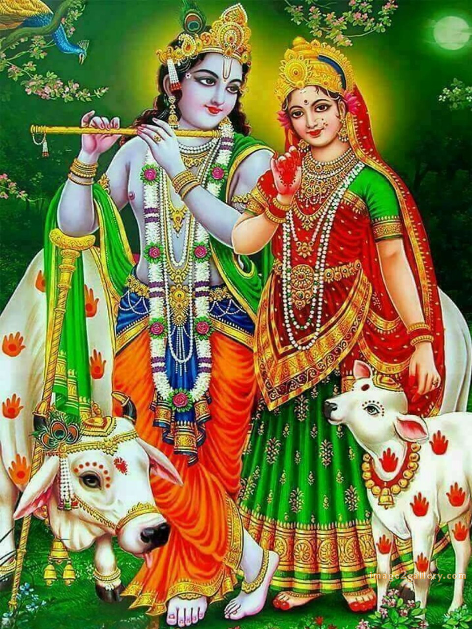 1200+ Krishna Images hd - Krishna Radha Photo : 247 god krishna pic(20)