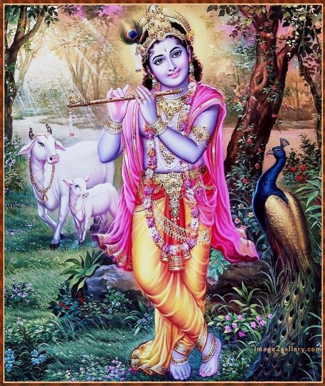 1200+ Krishna Images hd - Krishna Radha Photo : 257 god krishna pics for wallpaper(1)