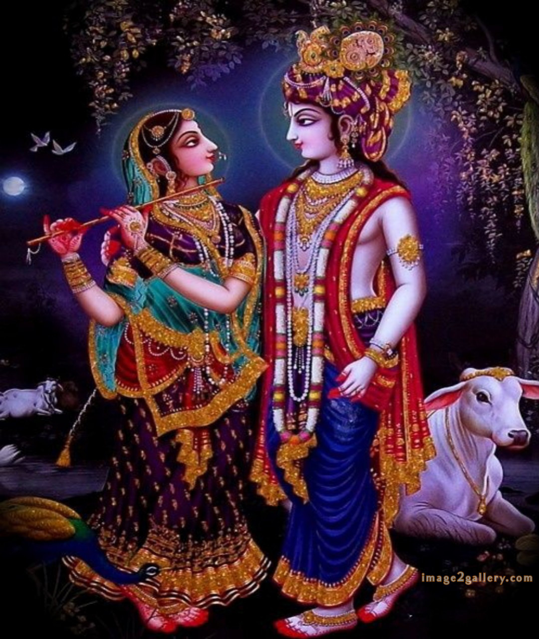 1200+ Krishna Images hd - Krishna Radha Photo : 256 god krishna pics for wallpaper(5)