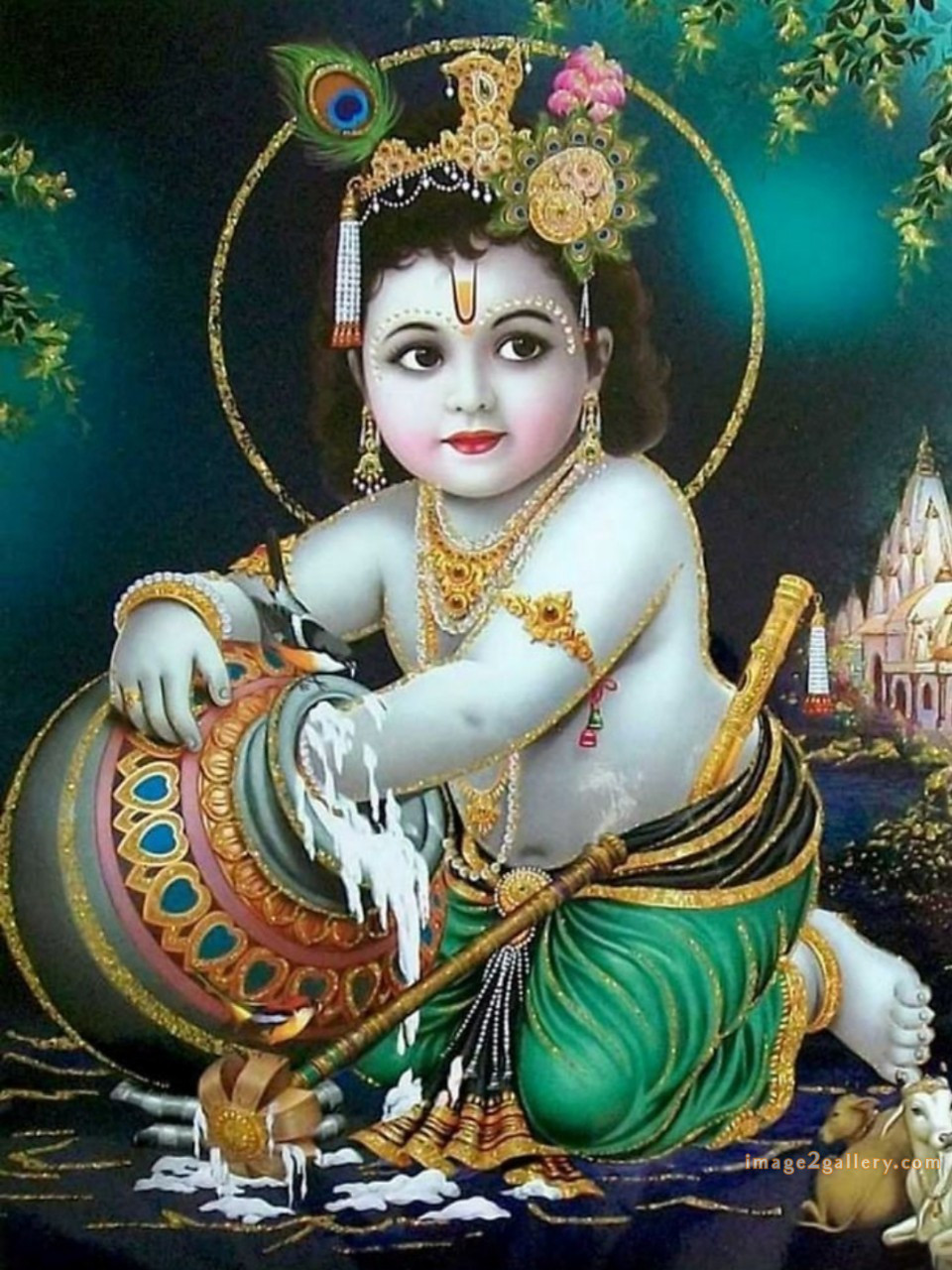 1200+ Krishna Images hd - Krishna Radha Photo : 347 god krishna picture (1)