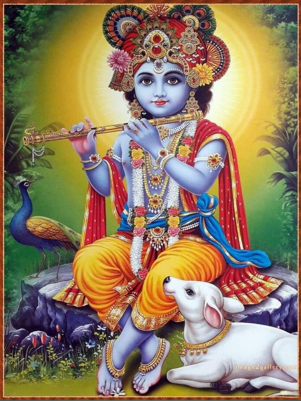 1200+ Krishna Images hd - Krishna Radha Photo : 270 god krishna picture (11)