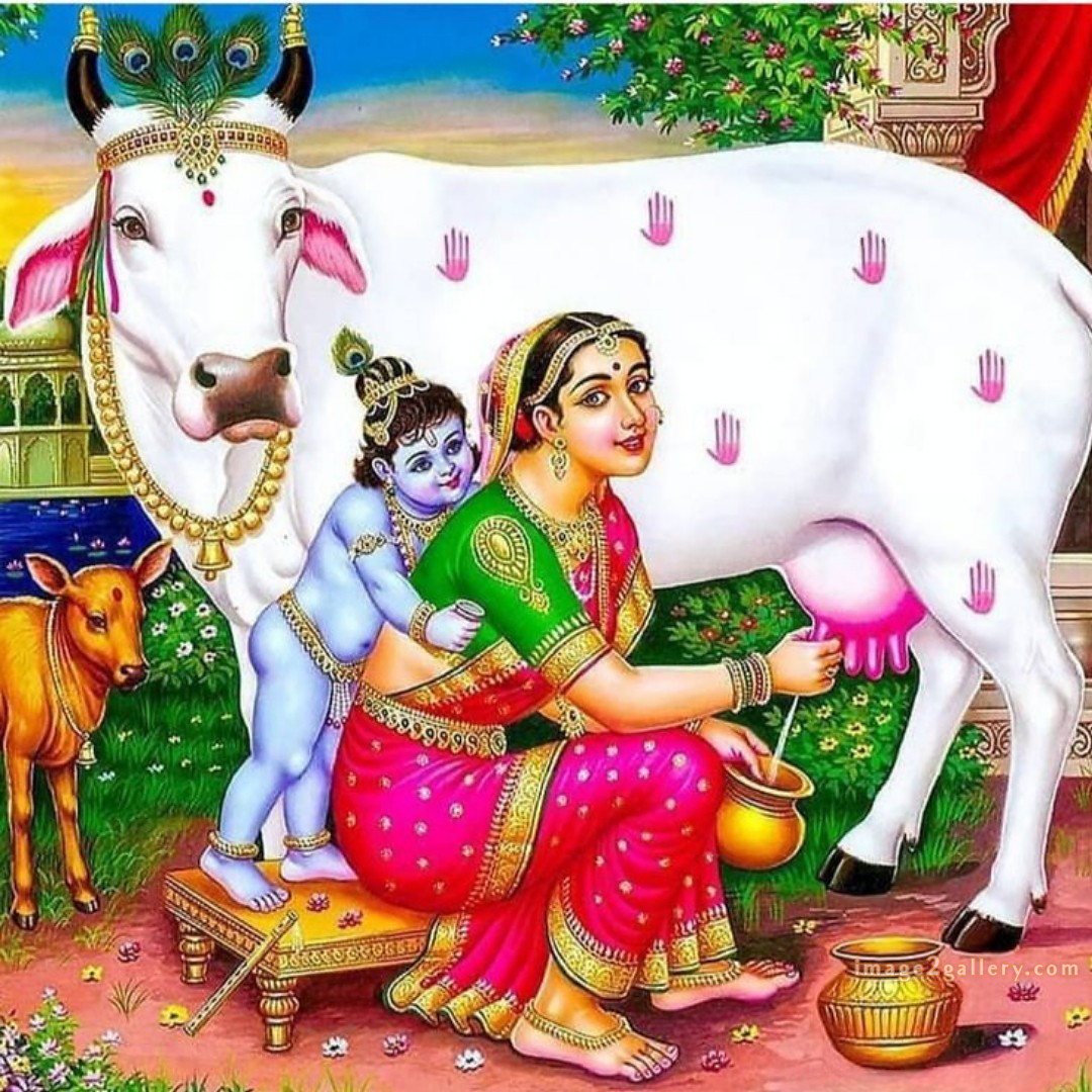 1200+ Krishna Images hd - Krishna Radha Photo : 275 god krishna picture (17)