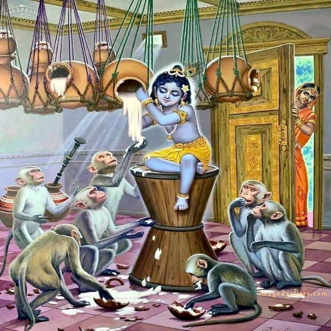 1200+ Krishna Images hd - Krishna Radha Photo : 274 god krishna picture (18)