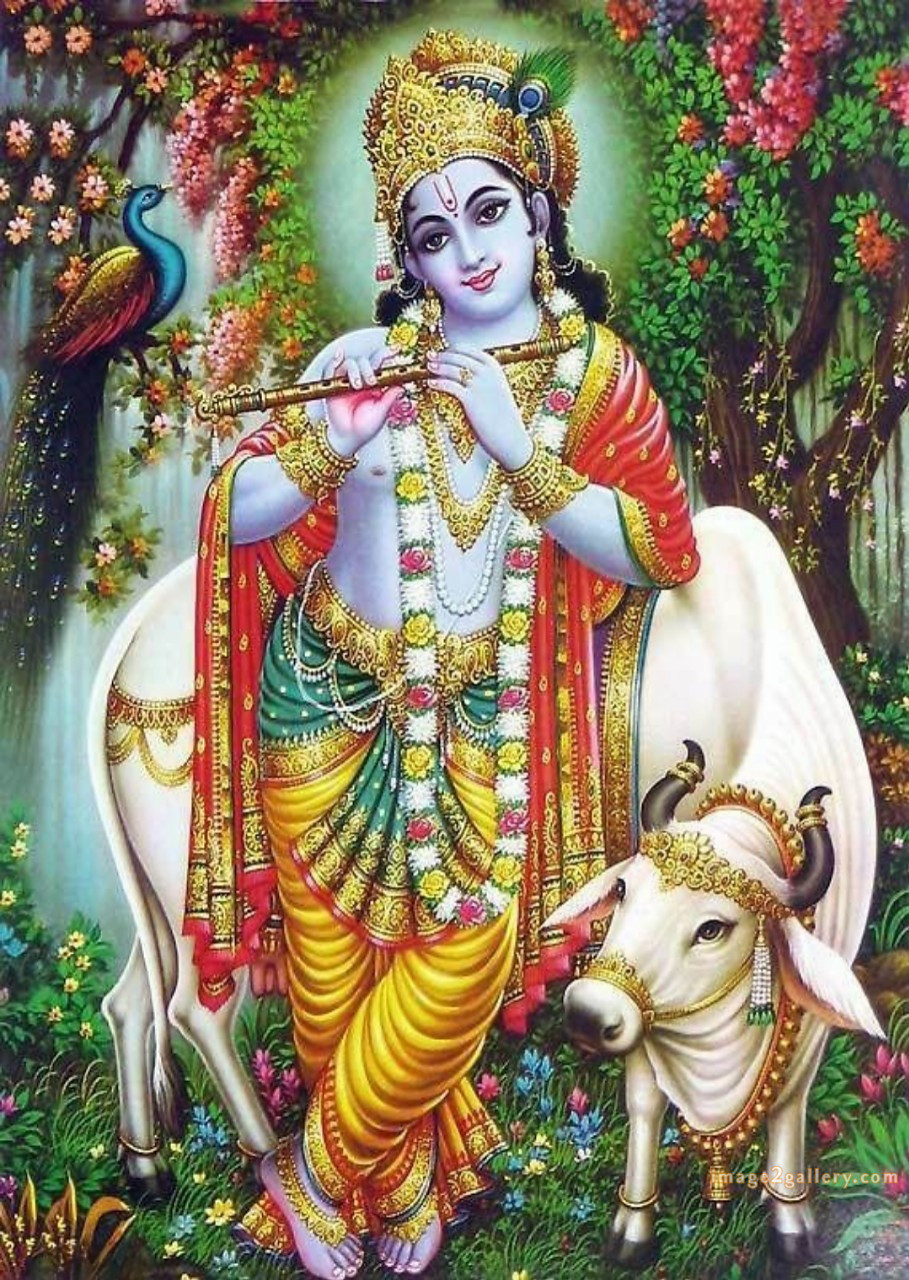 1200+ Krishna Images hd - Krishna Radha Photo : 354 god krishna picture (20)