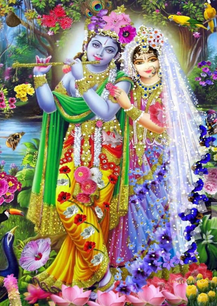 1200+ Krishna Images hd - Krishna Radha Photo : 359 god krishna picture (27)