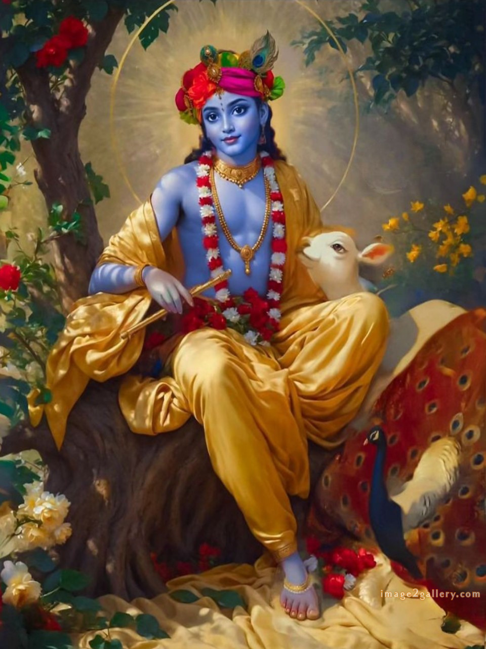 1200+ Krishna Images hd - Krishna Radha Photo : 268 god krishna picture (7)