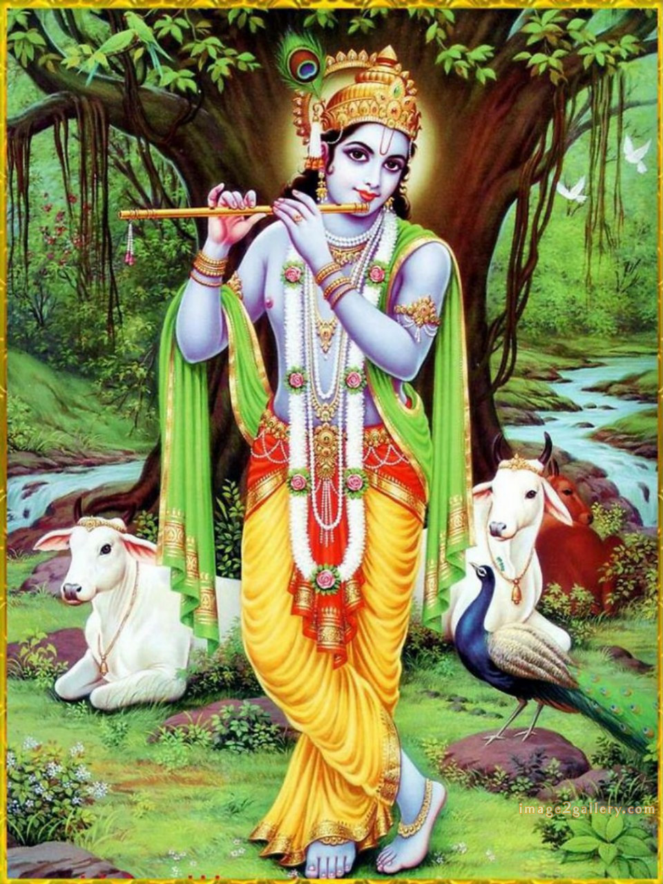 1200+ Krishna Images hd - Krishna Radha Photo : 272 god krishna picture (9)