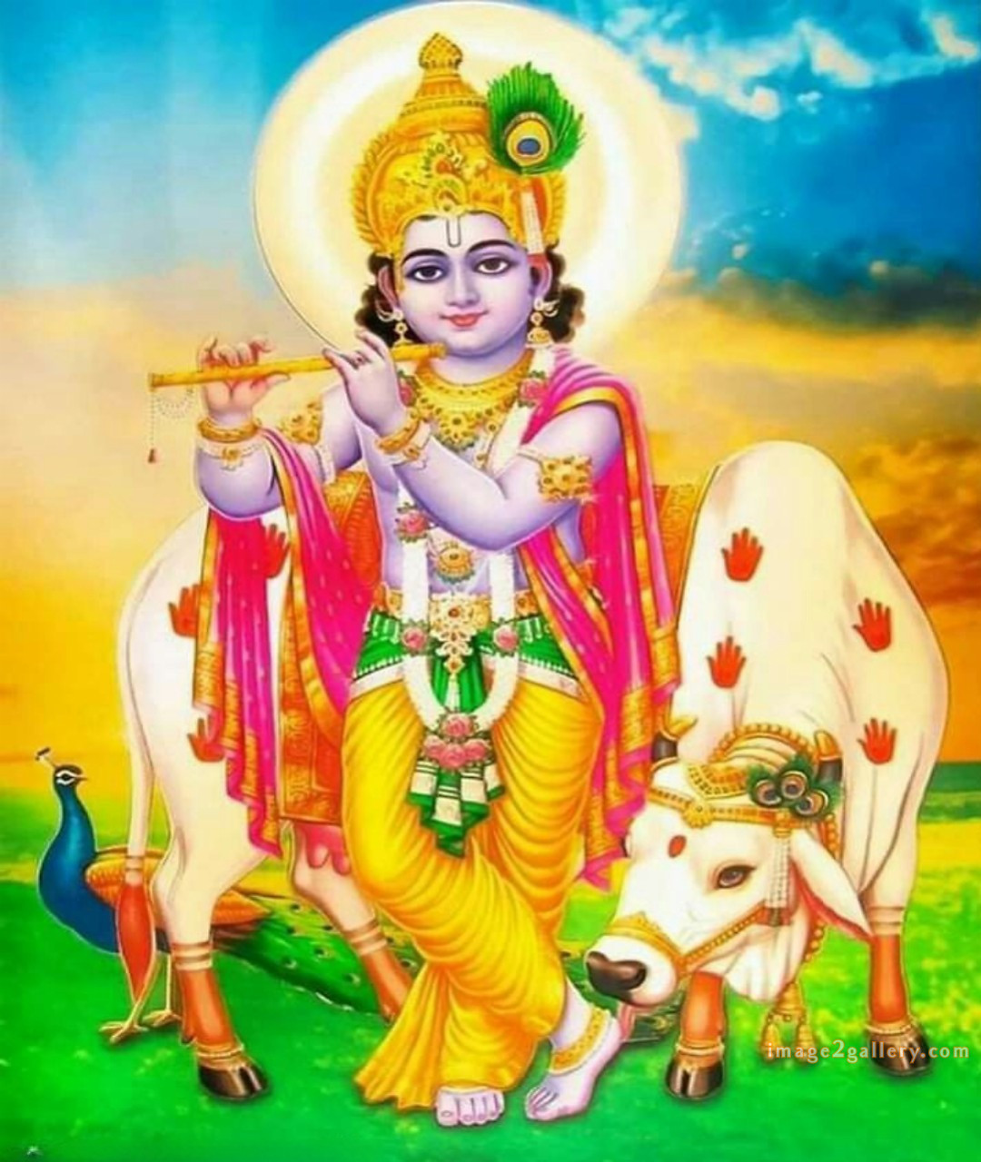 1200+ Krishna Images hd - Krishna Radha Photo : 291 god krishna pictures download (20)