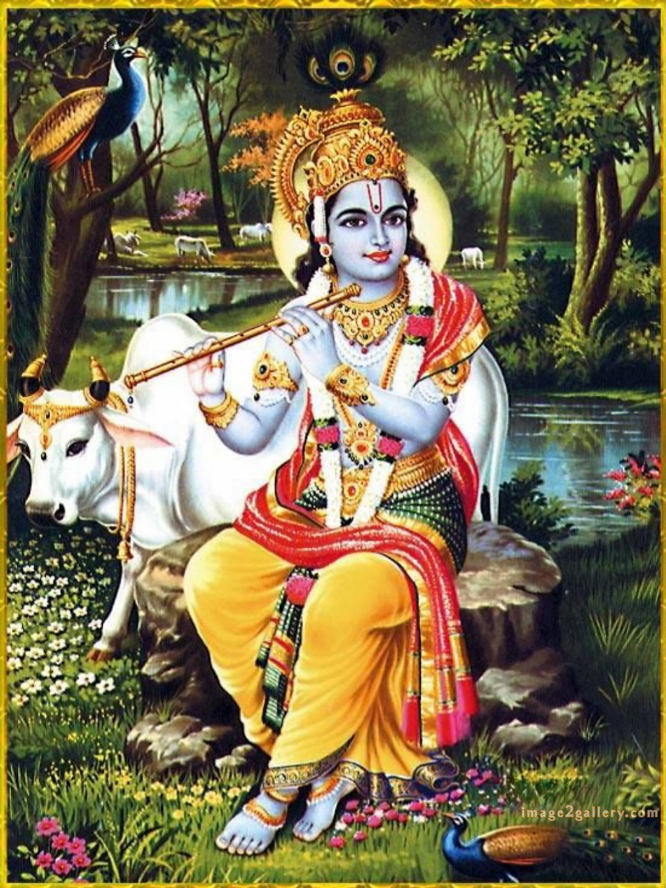 1200+ Krishna Images hd - Krishna Radha Photo : 290 god krishna pictures download (21)