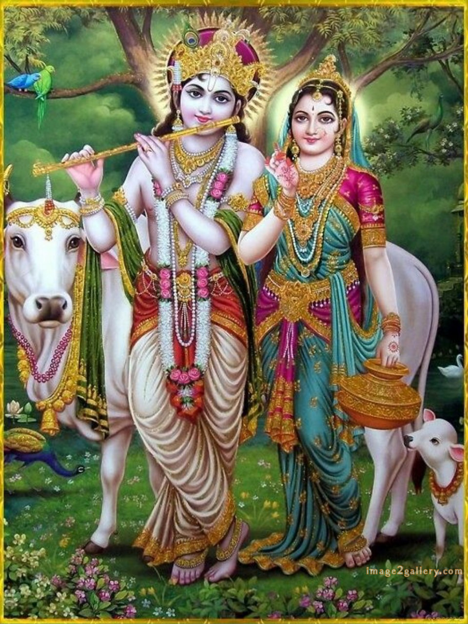 1200+ Krishna Images hd - Krishna Radha Photo : 292 god krishna pictures download (22)