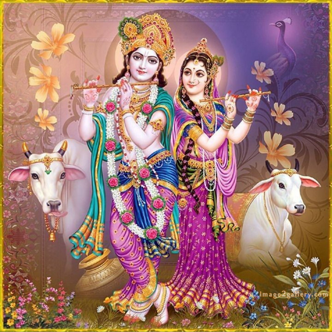 1200+ Krishna Images hd - Krishna Radha Photo : 286 god krishna pictures download (3)