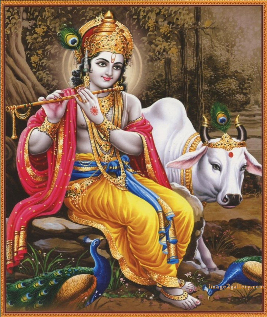 1200+ Krishna Images hd - Krishna Radha Photo : 284 god krishna pictures download (8)
