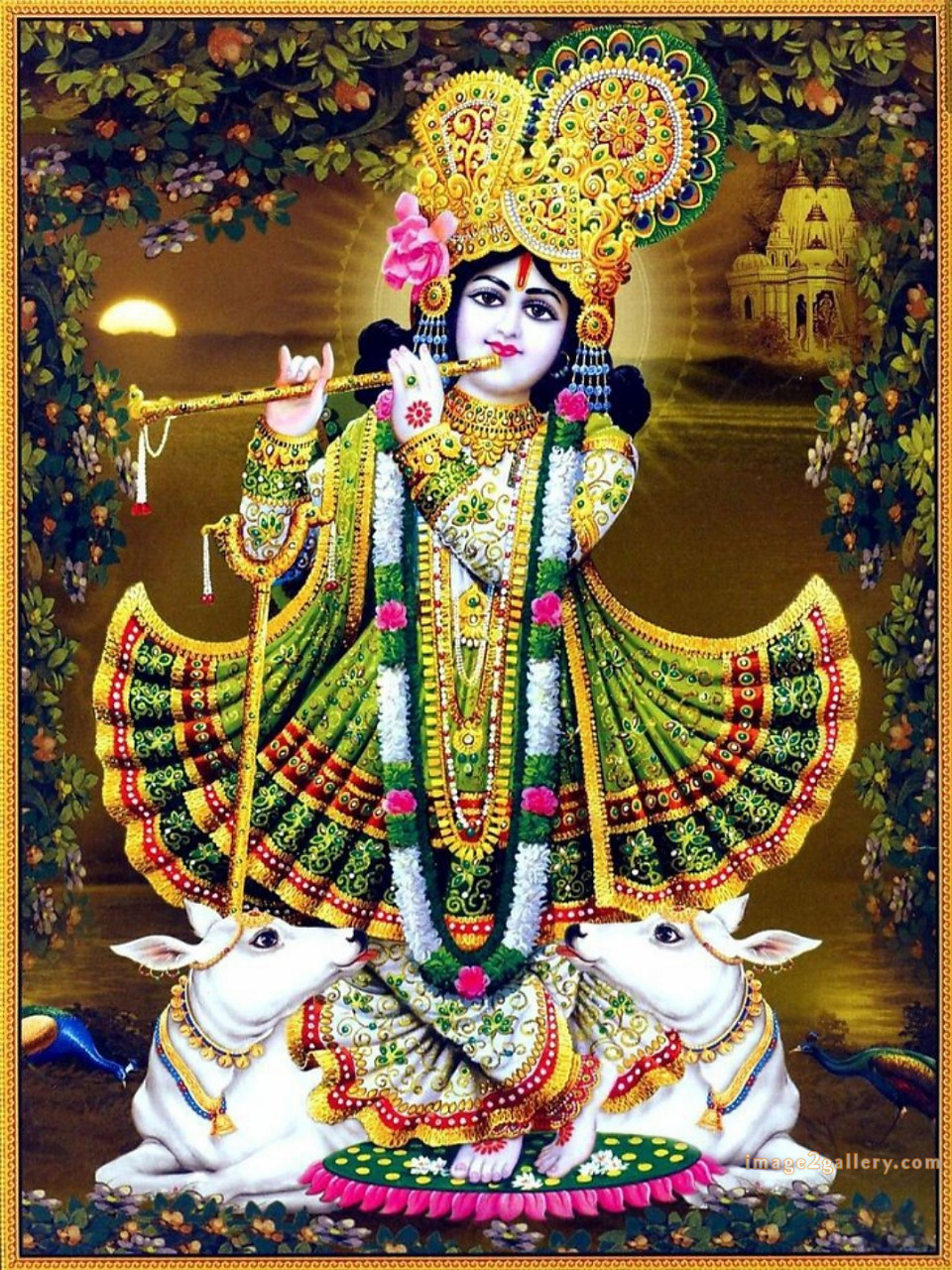 1200+ Krishna Images hd - Krishna Radha Photo : 293 god krishna pictures wallpaper (1)