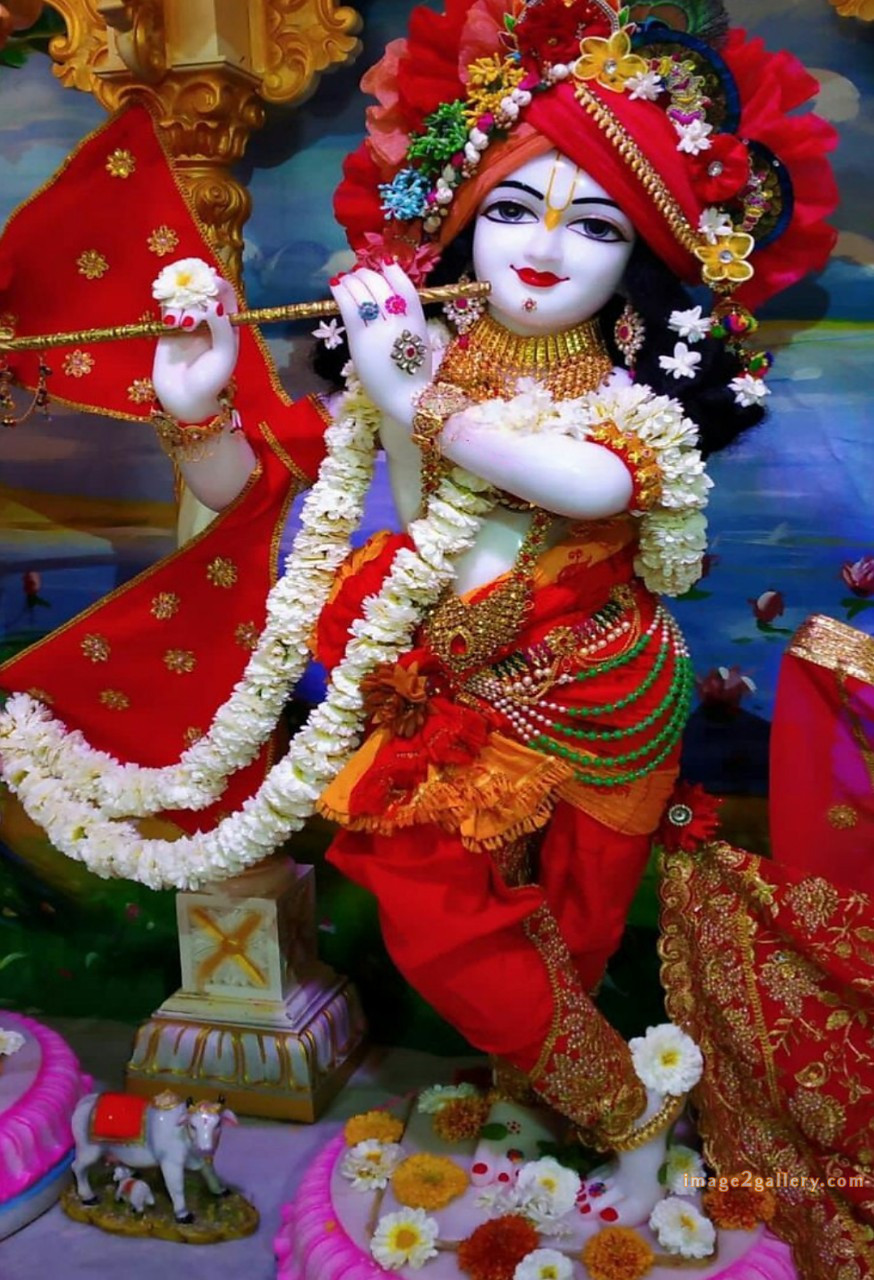 1200+ Krishna Images hd - Krishna Radha Photo : 297 god krishna pictures wallpaper (12)
