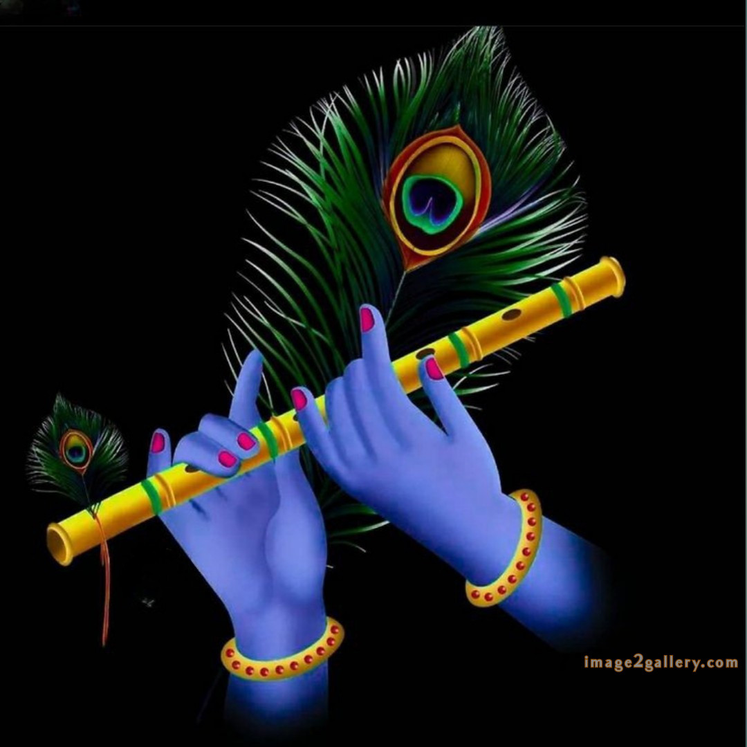 1200+ Krishna Images hd - Krishna Radha Photo : 301 god krishna pictures wallpaper (16)