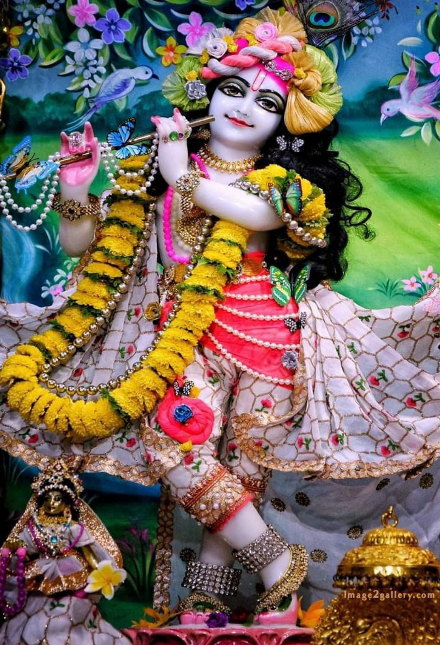 1200+ Krishna Images hd - Krishna Radha Photo : 378 god krishna pictures wallpaper (18)
