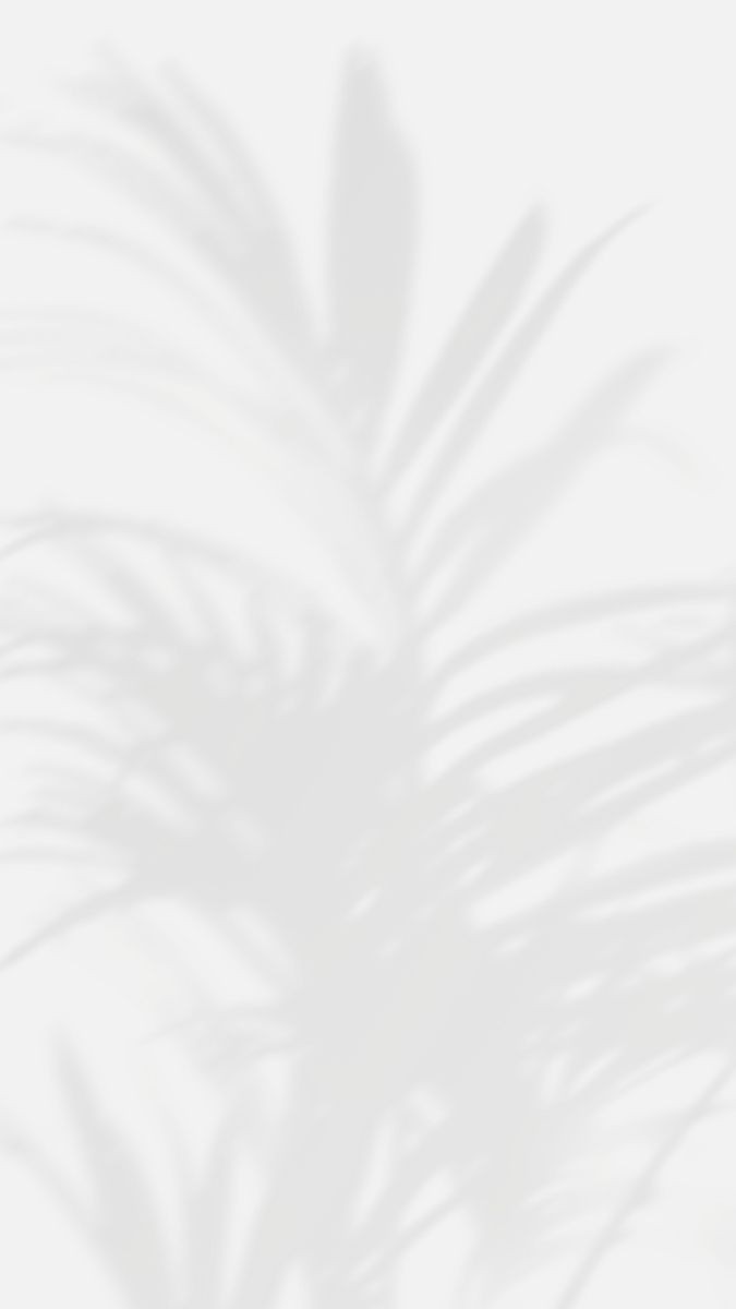 500+ White Background Image Free Download | White Background | 511 hd wallpaper white -(23)