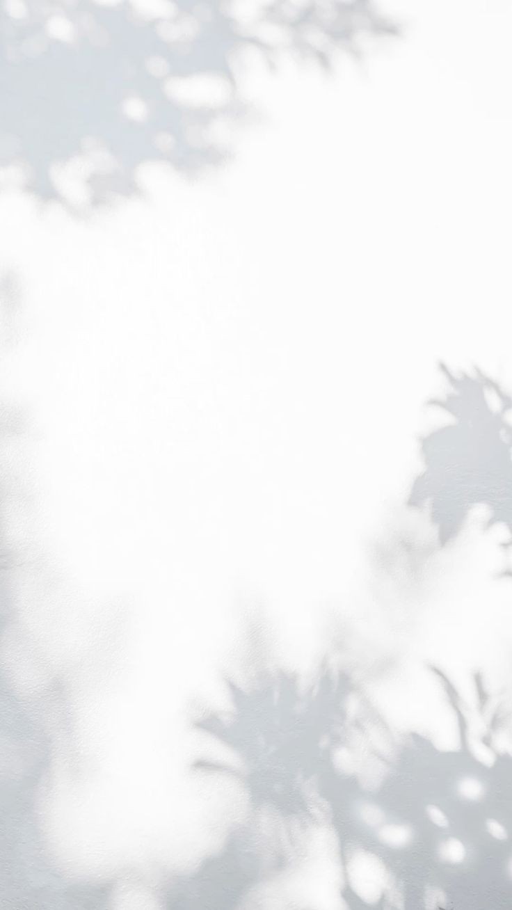 500+ White Background Image Free Download | White Background | 513 hd wallpaper white -(25)