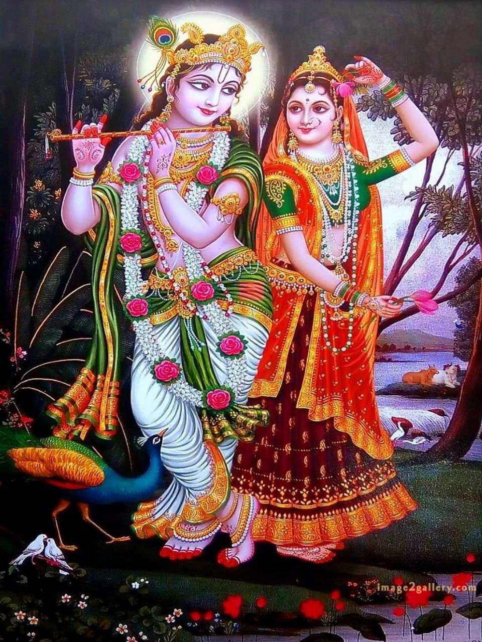 1200+ Krishna Images hd - Krishna Radha Photo : 383 krishna and radha images cute(12)
