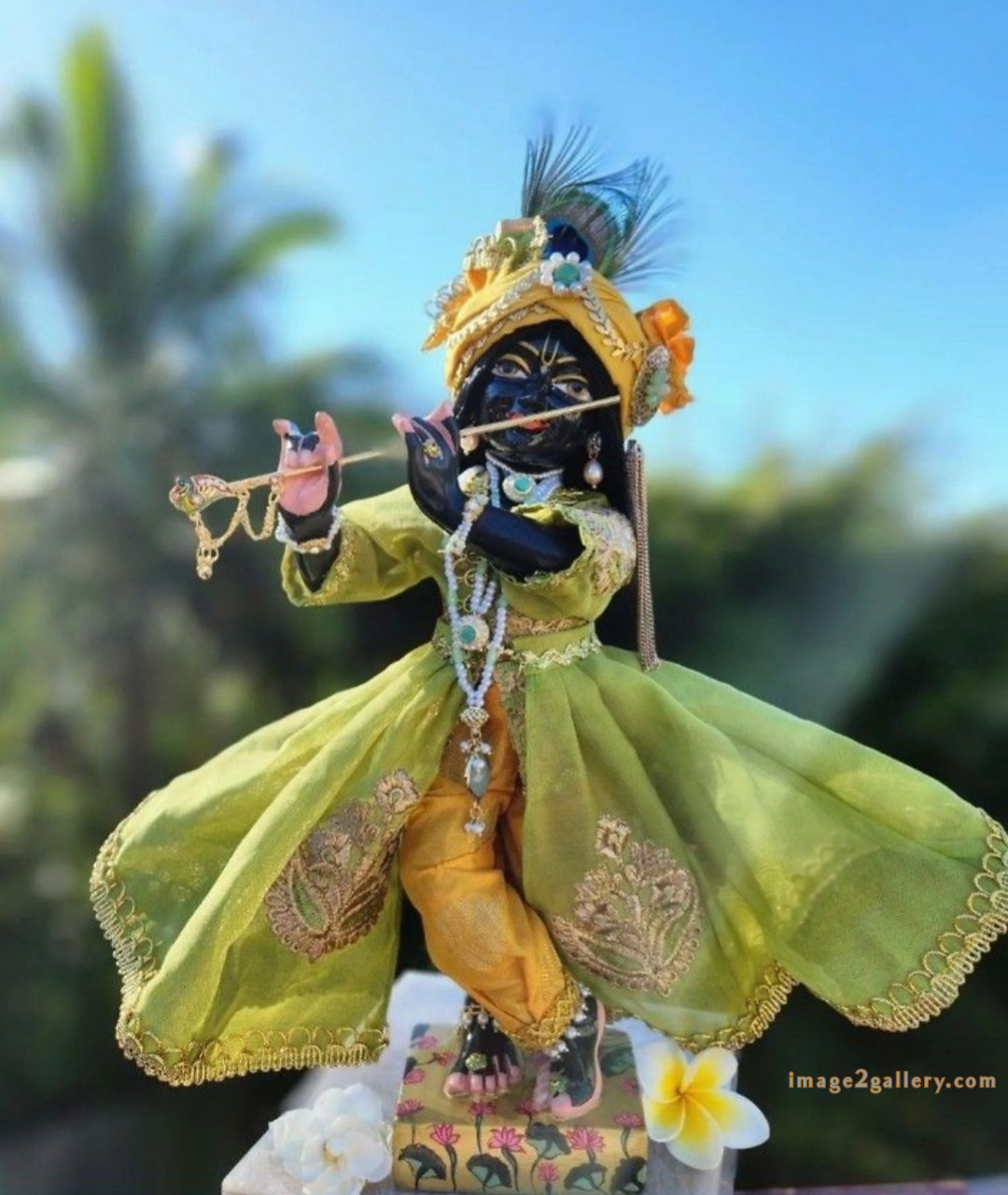 1200+ Krishna Images hd - Krishna Radha Photo : 317 krishna and radha images cute(24)
