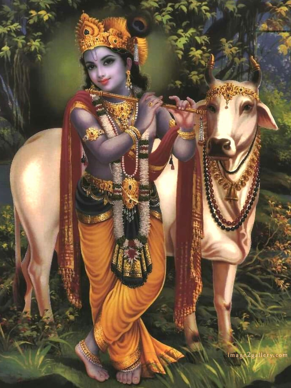 1200+ Krishna Images hd - Krishna Radha Photo : 394 krishna and radha images for dp(1)