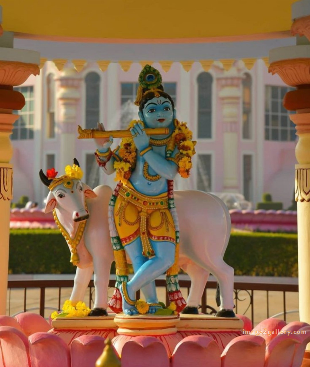 1200+ Krishna Images hd - Krishna Radha Photo : 399 krishna and radha images for dp(4)