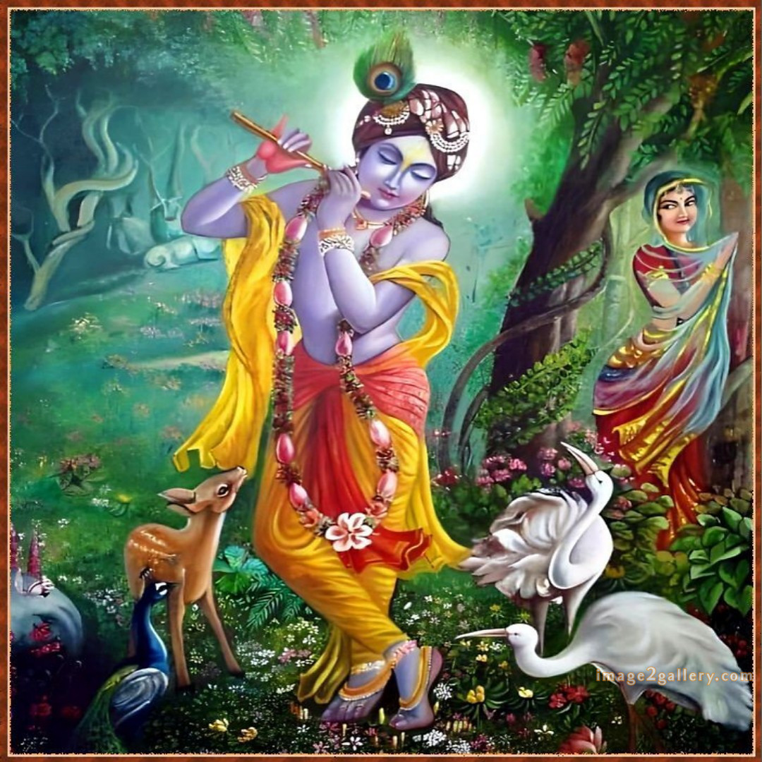 1200+ Krishna Images hd - Krishna Radha Photo : 321 krishna and radha images for dp(8)