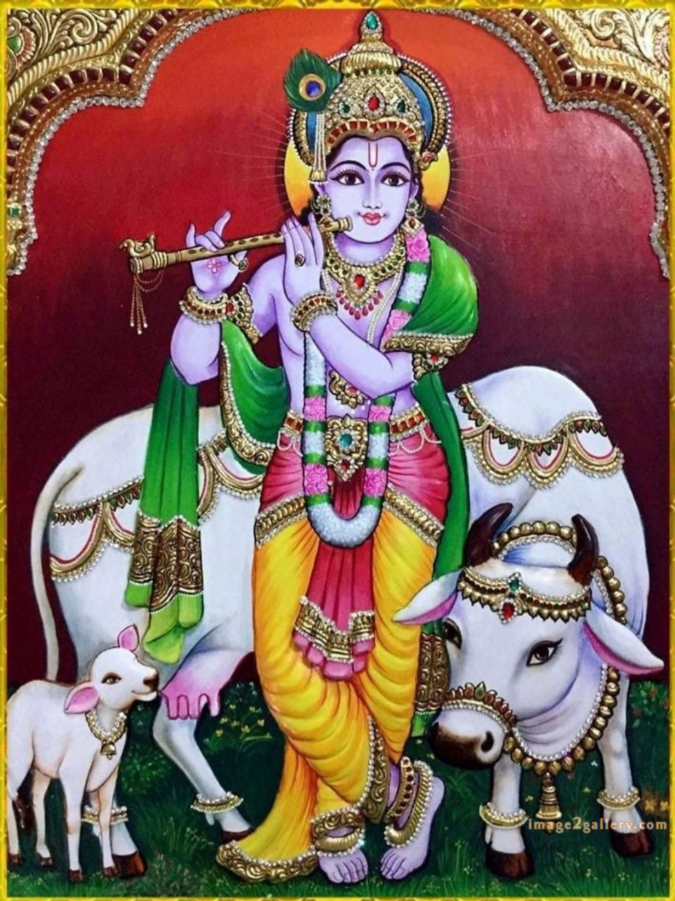1200+ Krishna Images hd - Krishna Radha Photo : 446 krishna and radha images(14)