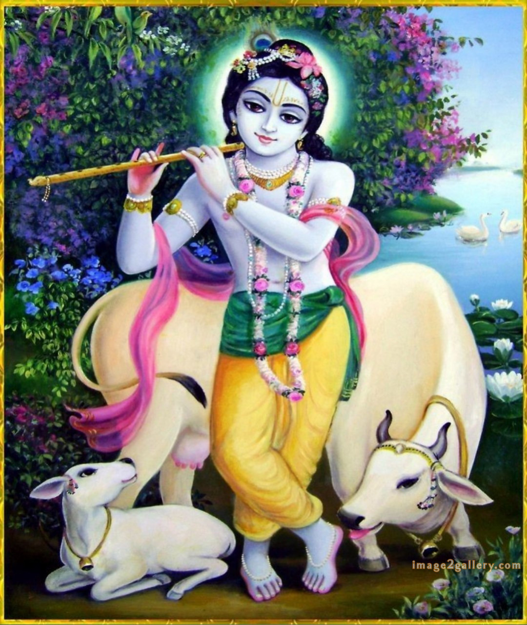 1200+ Krishna Images hd - Krishna Radha Photo : 462 krishna and radha images(27)