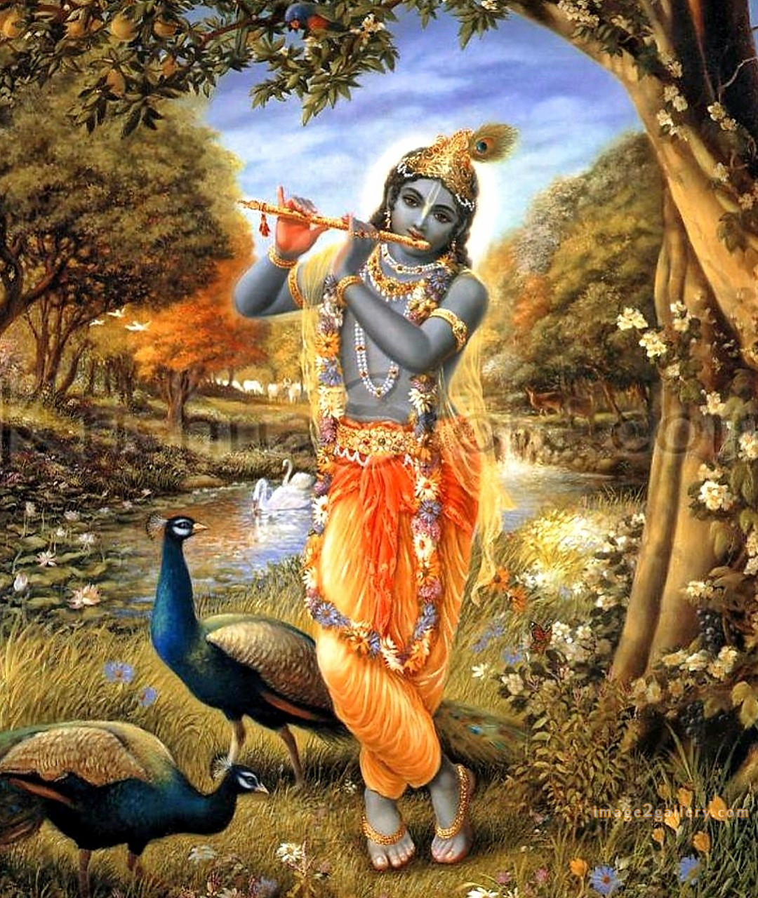 1200+ Krishna Images hd - Krishna Radha Photo : 471 krishna and radha pic (11)