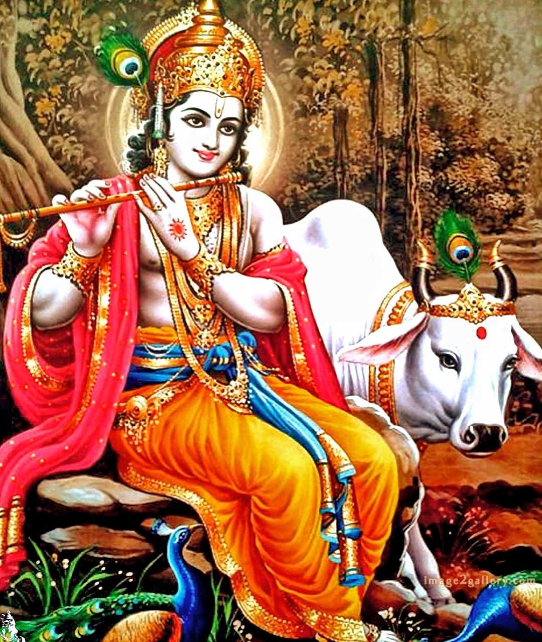 1200+ Krishna Images hd - Krishna Radha Photo : 474 krishna and radha pic (17)