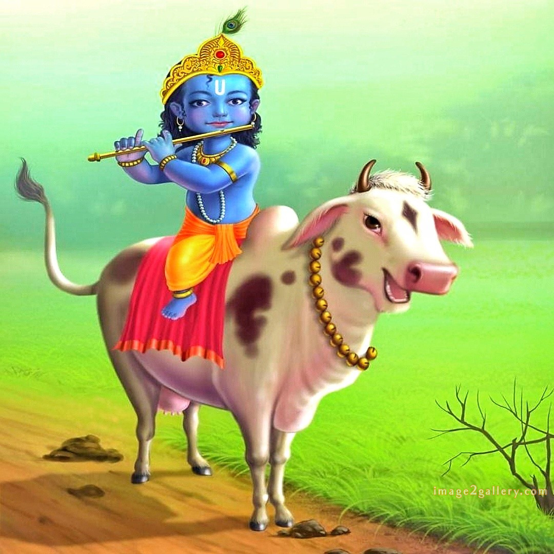 1200+ Krishna Images hd - Krishna Radha Photo : 473 krishna and radha pic (19)