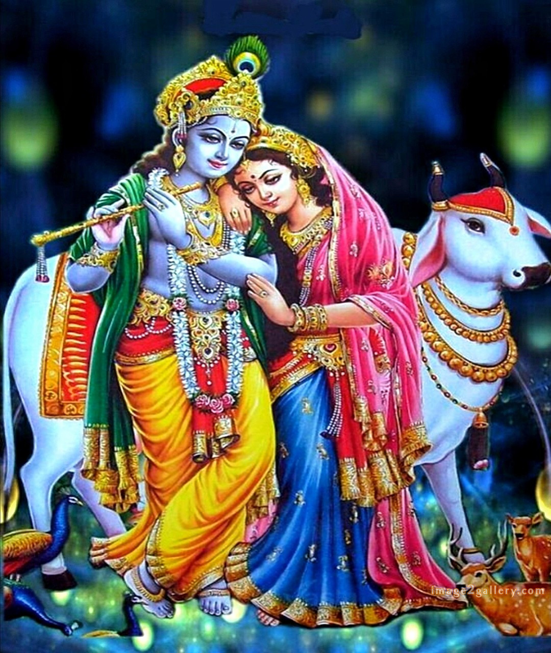 1200+ Krishna Images hd - Krishna Radha Photo : 481 krishna and radha pic (22)