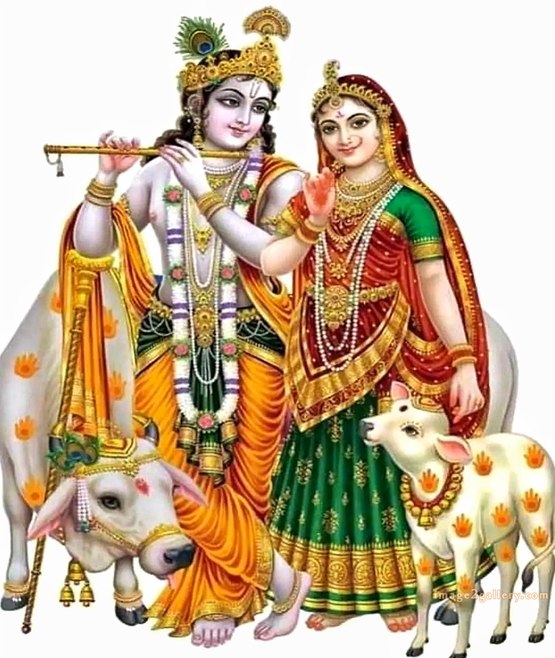 1200+ Krishna Images hd - Krishna Radha Photo : 478 krishna and radha pic (29)